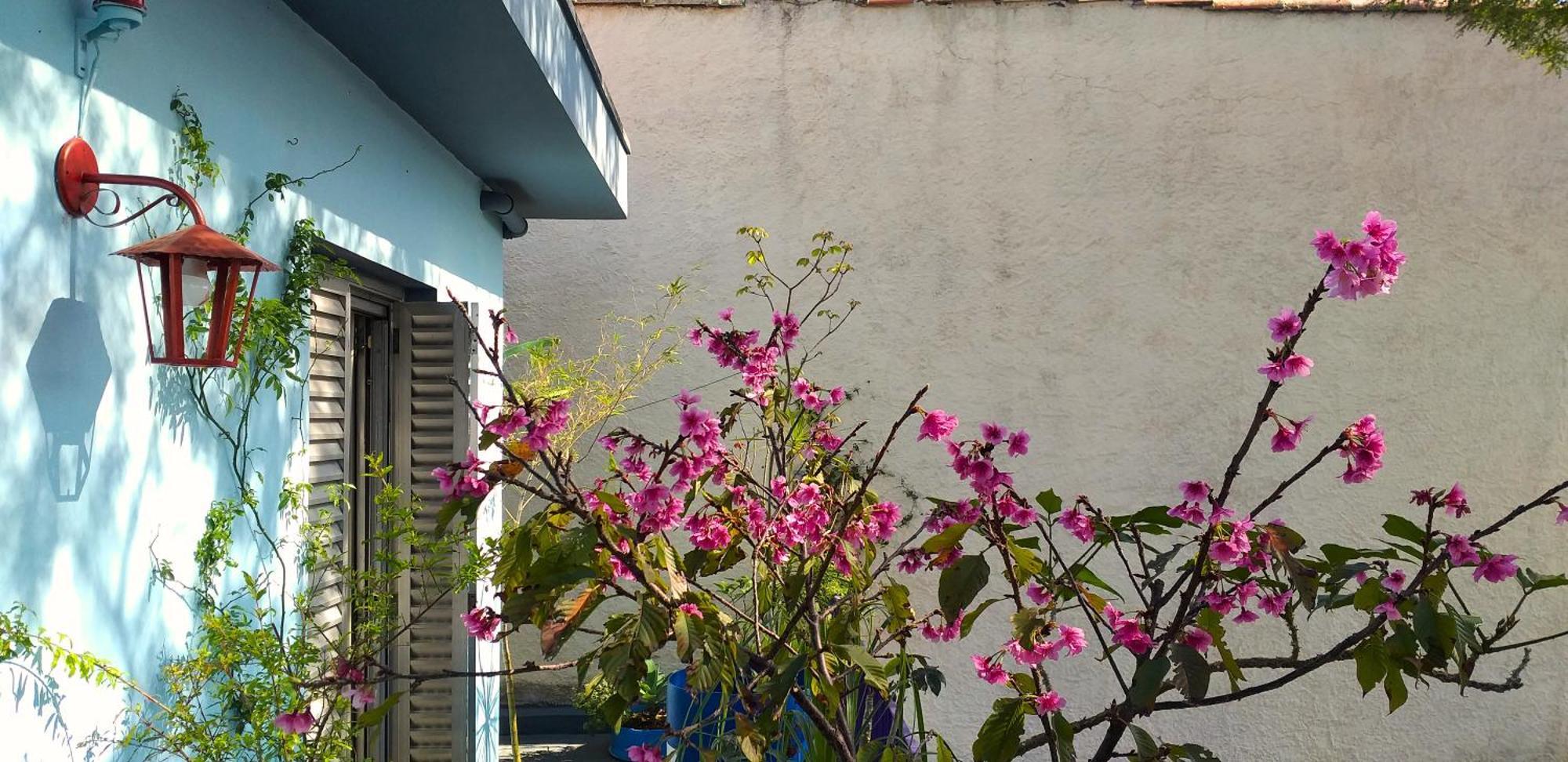 Micasa Hostel - Congonhas 상파울루 외부 사진